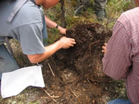 Please click on thumbnail to view larger photo & details.